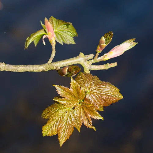 wim meijer fotografie 5i5a7049
