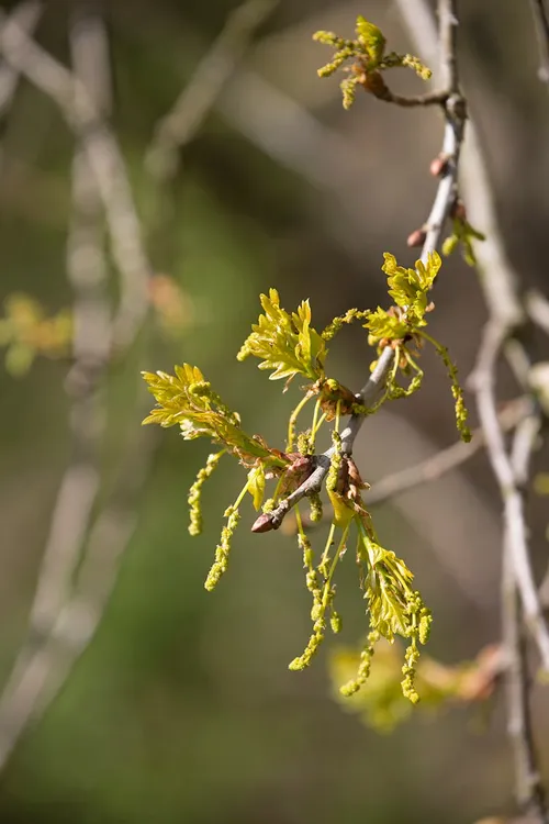 wim meijer fotografie 5i5a7062