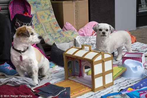 wim meijer fotografie 5i5a7460