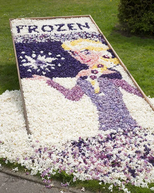 wim meijer fotografie 5i5a7794