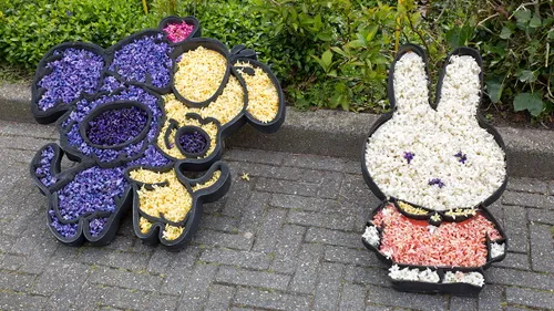 wim meijer fotografie 5i5a7796