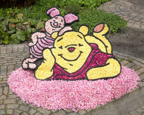 wim meijer fotografie 5i5a7822