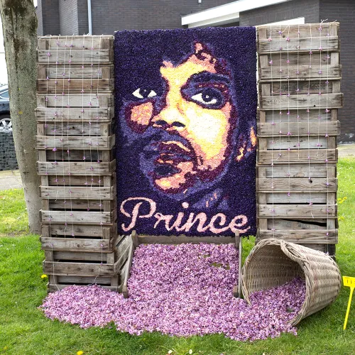 wim meijer fotografie 5i5a7824