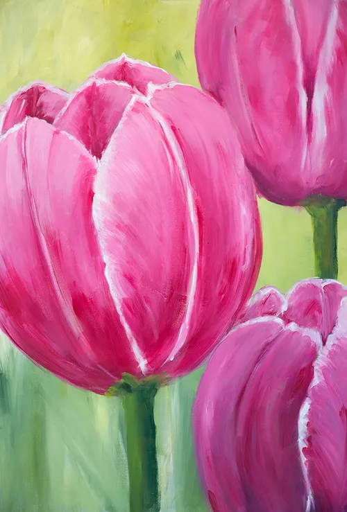 wim meijer fotografie 5i5a7846