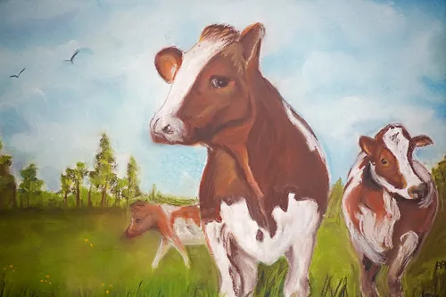 wim meijer fotografie 5i5a7862