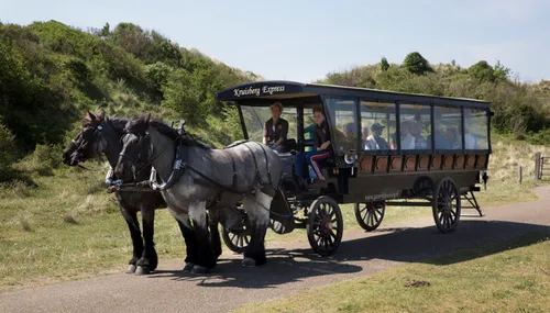 wim meijer fotografie 5i5a8208 plusbus 715x408