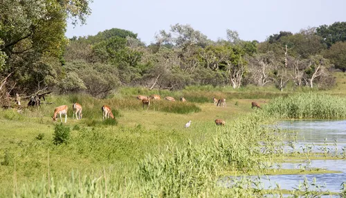 wim meijer fotografie 5i5a8770