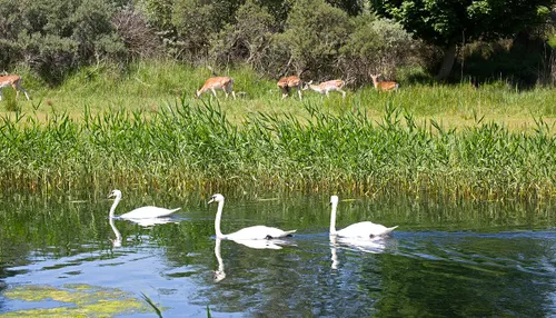 wim meijer fotografie 5i5a8790