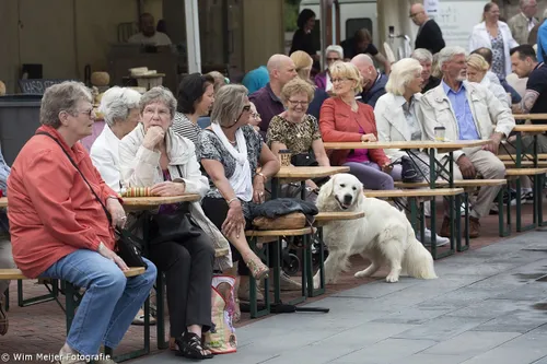 wim meijer fotografie 5i5a8902