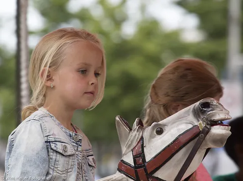 wim meijer fotografie 5i5a8973