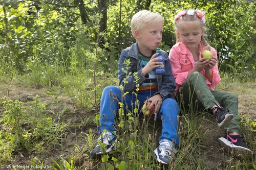 wim meijer fotografie 5i5a9179