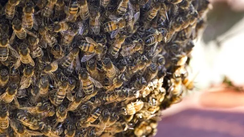 wim meijer fotografie 5i5a9902