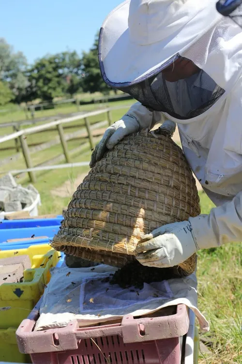wim meijer fotografie 5i5a9908