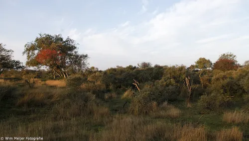 wim meijer fotografie herfst gouden uur 3