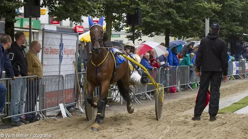 wim meijer fotografie img 0496
