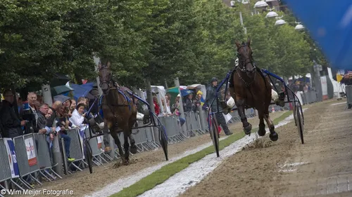 wim meijer fotografie img 0510b