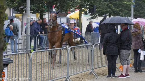 wim meijer fotografie img 0518