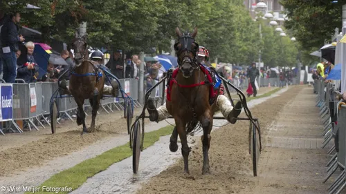 wim meijer fotografie img 0523