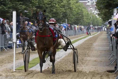 wim meijer fotografie img 0524