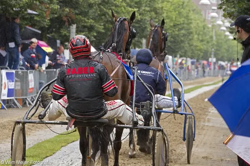 wim meijer fotografie img 0528