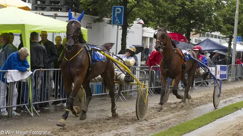 wim meijer fotografie img 0534