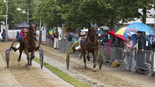 wim meijer fotografie img 0537