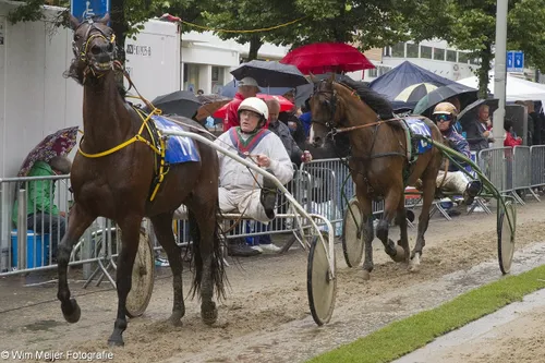 wim meijer fotografie img 0544