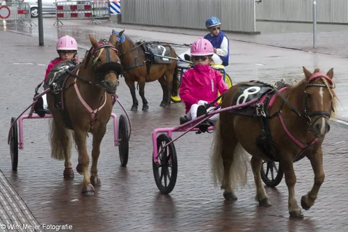 wim meijer fotografie img 0574