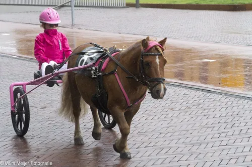 wim meijer fotografie img 0582