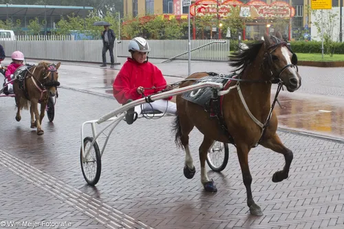 wim meijer fotografie img 0586