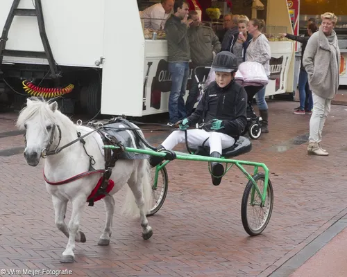 wim meijer fotografie img 0597