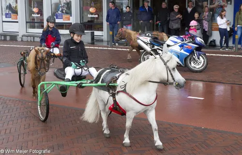 wim meijer fotografie img 0602