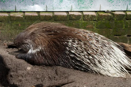 wim meijer fotografie img 0652