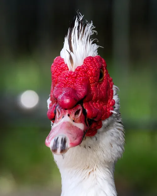 wim meijer fotografie img 0656