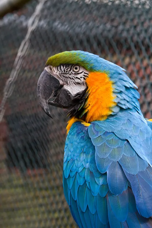 wim meijer fotografie img 0665