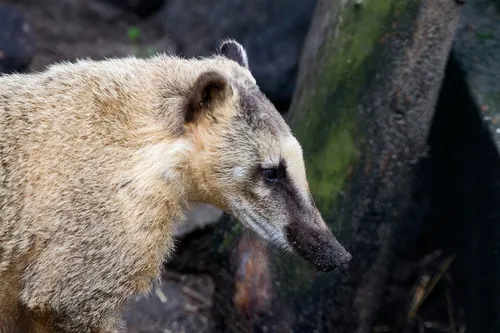 wim meijer fotografie img 0682