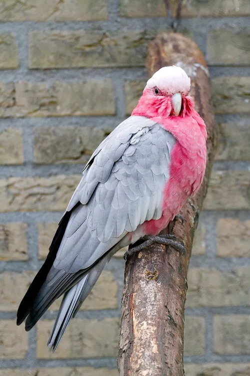 wim meijer fotografie img 0714