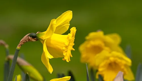 wim meijer fotografie img 0780