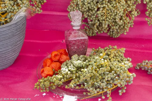 wim meijer fotografie img 1311