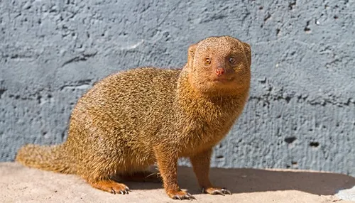 wim meijer fotografie img 3660