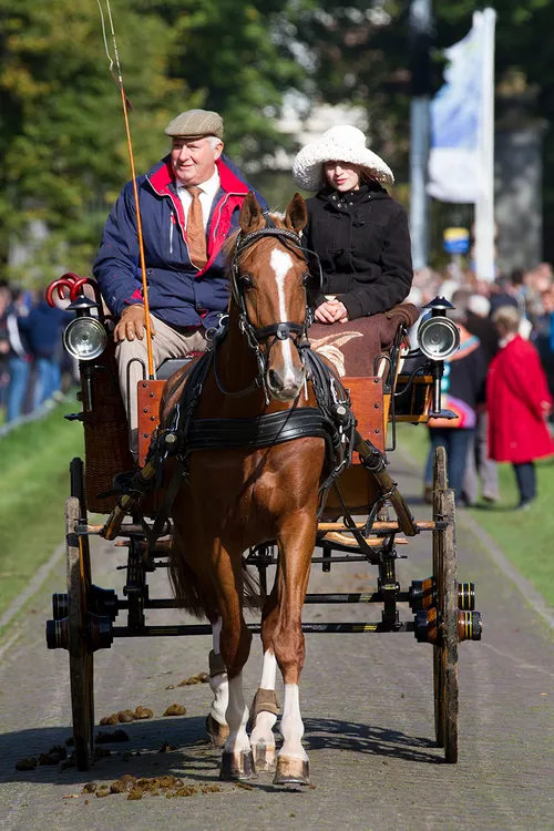wim meijer fotografie img 5323