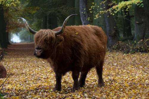 wim meijer fotografie img 5895