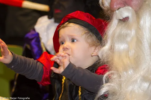 wim meijer fotografie img 6813