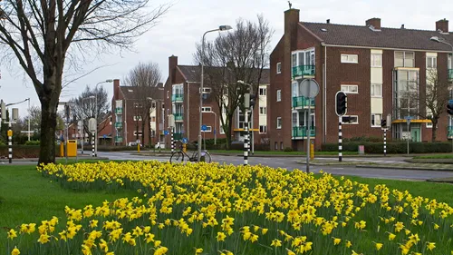 wim meijer fotografie img 7465