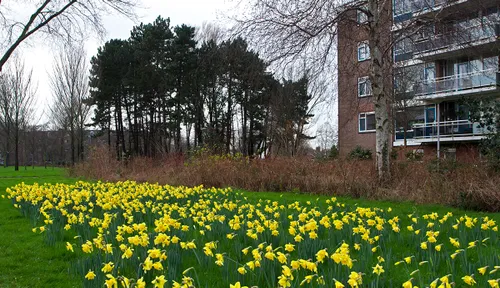 wim meijer fotografie img 7467