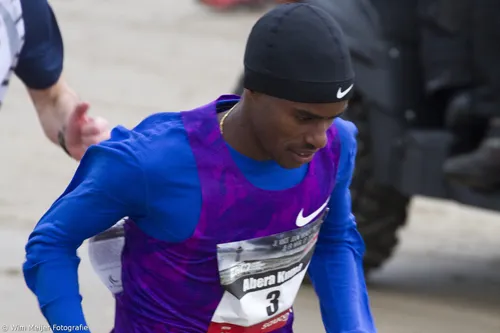 wim meijer fotografie img 7756