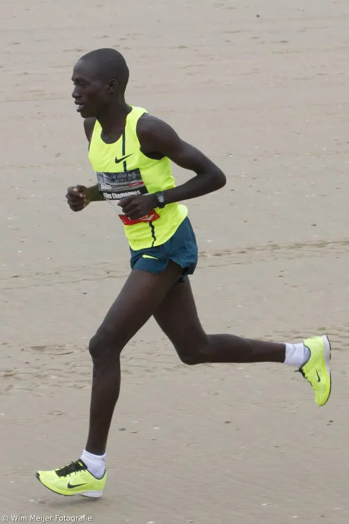 wim meijer fotografie img 7779