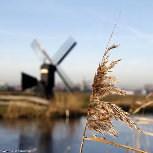 wim meijer fotografie mg 1452