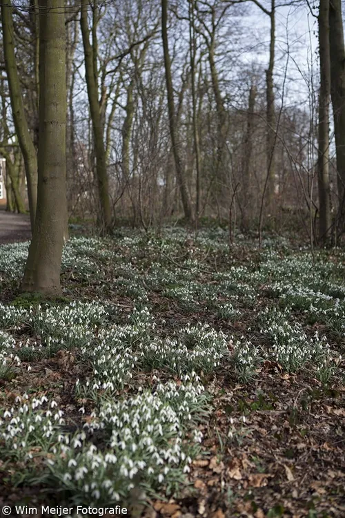 wim meijer fotografie mg 21171