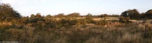 wim meijer fotografie pano herfst gouden uur 1